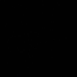 Meet your Posher, Tracey